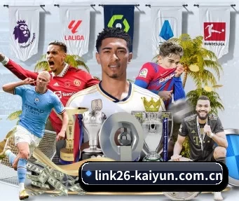 开云世界杯 APP 界面